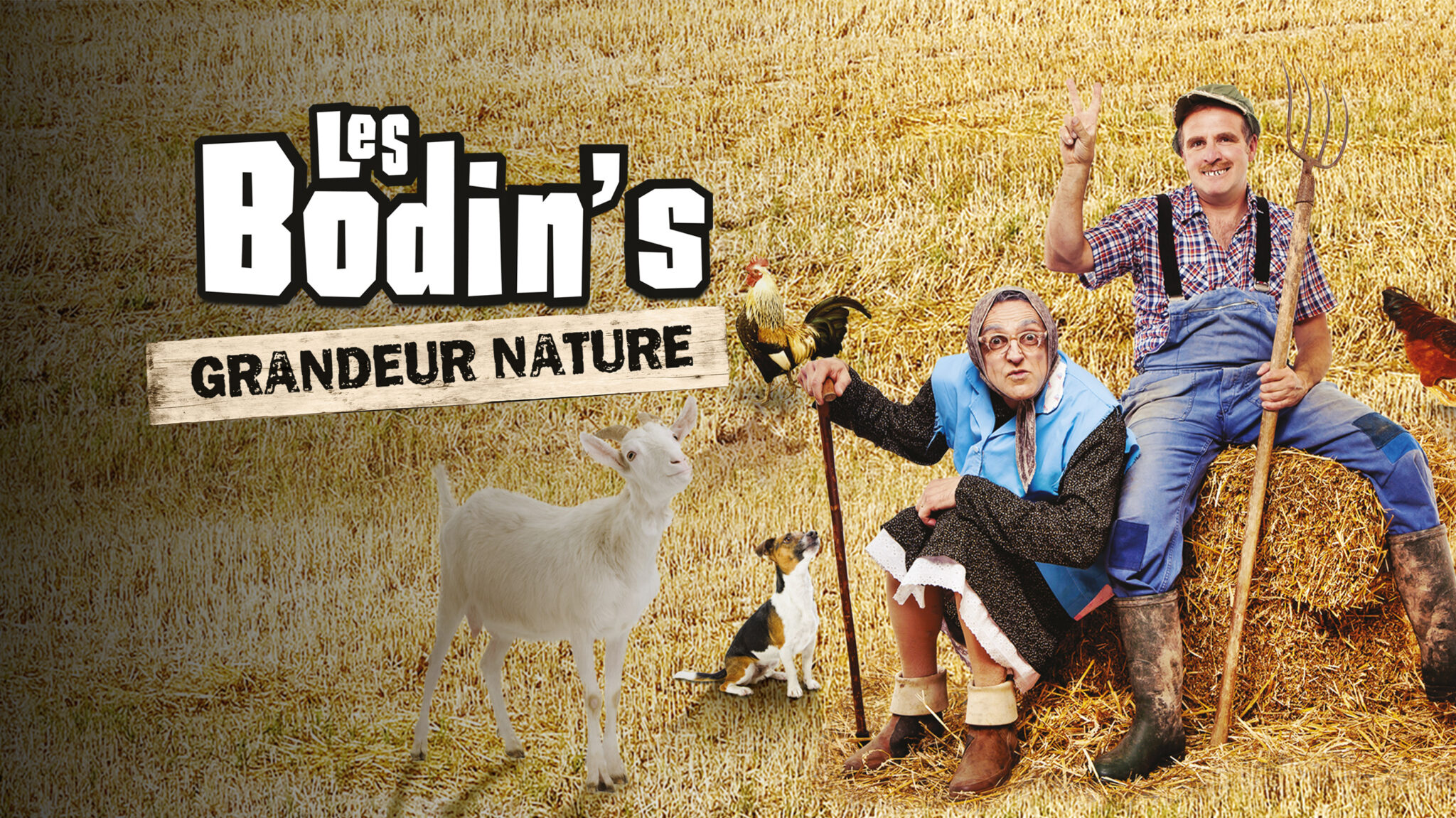 Les Bodin S Grandeur Nature Diffus Sur M